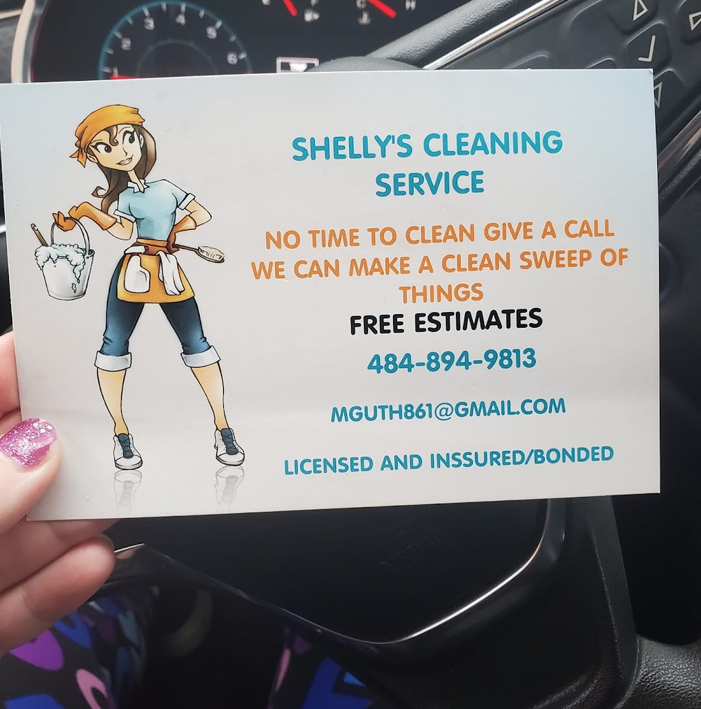 Shellys Professional Cleaning Services | 62 Main St, Freemansburg, PA 18017 | Phone: (484) 894-9813