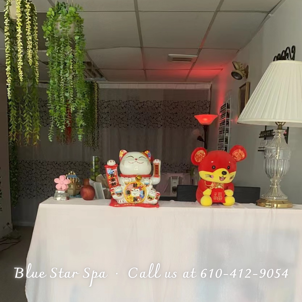 Blue Star Spa | 3563 Schuylkill Rd suite 8, Spring City, PA 19475 | Phone: (610) 412-9054