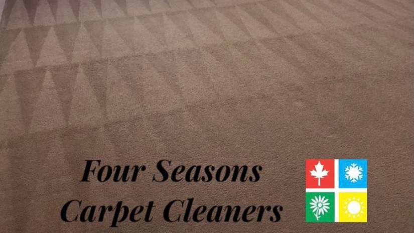 Four Seasons Carpet Cleaners LLC | 504 N Randolph Ave, Cinnaminson, NJ 08077 | Phone: (267) 767-4080
