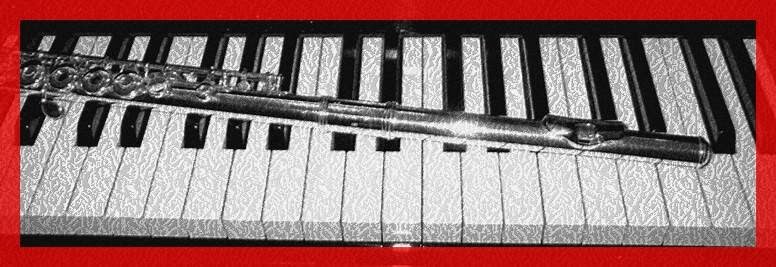 Michelle Cosgrove Flute and Piano Studio | 1003 N 7th St, Perkasie, PA 18944 | Phone: (215) 258-3941