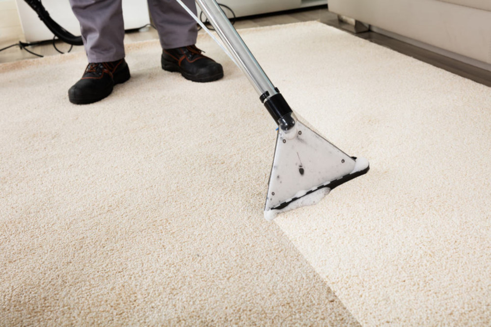 Delaware Valley Carpet Cleaning | 1210 Nightshade Dr, Williamstown, NJ 08094 | Phone: (609) 458-1973