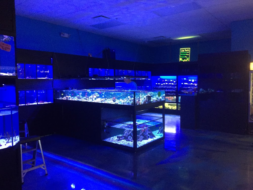 Aquarium Center | 1468 Blackwood Clementon Rd, Clementon, NJ 08021 | Phone: (856) 627-6262