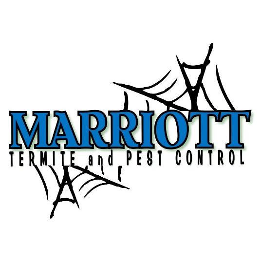 Marriott Termite and Pest Control | 2 S Perkasie Rd, Perkasie, PA 18944 | Phone: (877) 457-3787