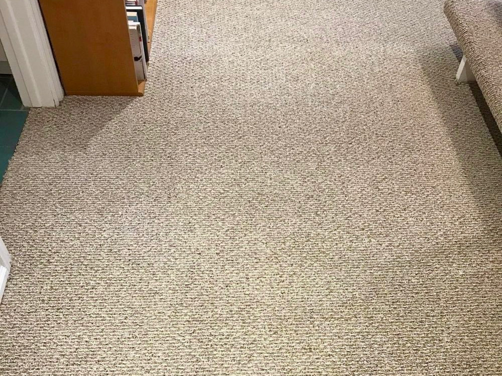 Mountain Carpet Cleaning Professionals | 870 E Street Rd, West Chester, PA 19382 | Phone: (610) 347-5161