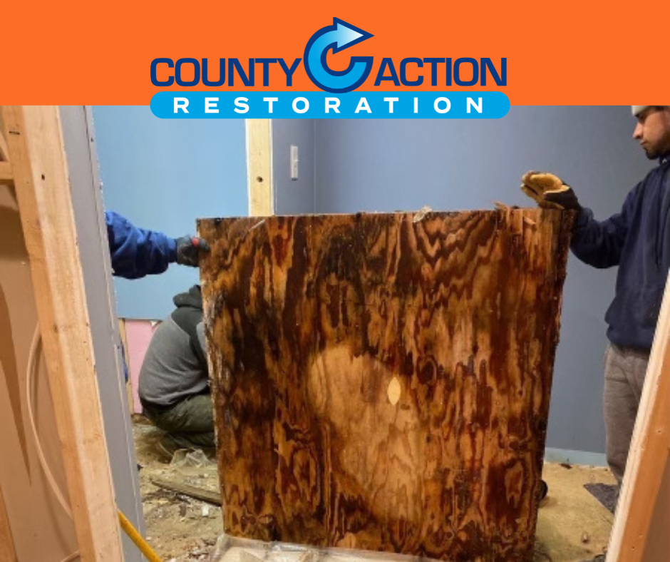 County Action Restoration | 1313 West Chester Pike #100, West Chester, PA 19382 | Phone: (610) 918-9698