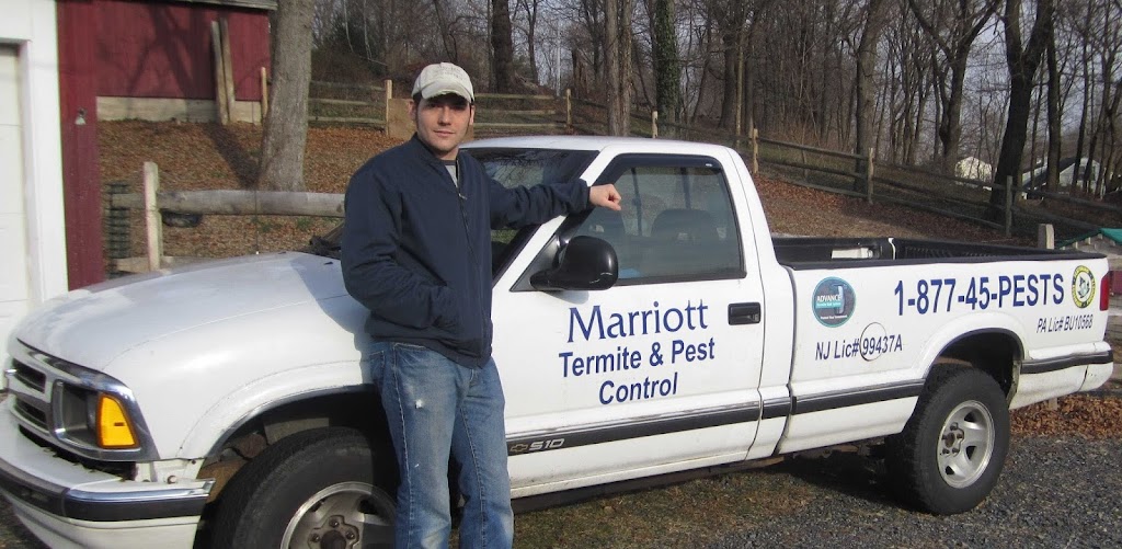 Marriott Termite and Pest Control | 2 S Perkasie Rd, Perkasie, PA 18944 | Phone: (877) 457-3787
