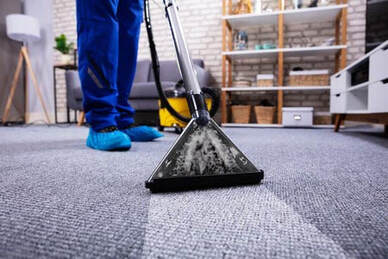 Lehigh Valley Carpet Cleaners | 326 S Bradford St, Allentown, PA 18109 | Phone: (610) 549-4927