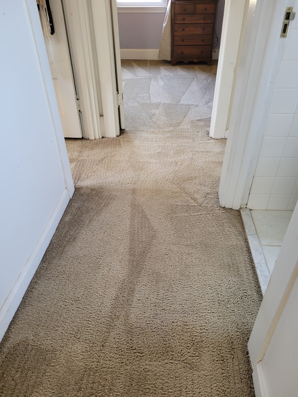 Bio-Clean Carpet Cleaning | 21 W 4th St, Pottstown, PA 19464 | Phone: (484) 253-6400