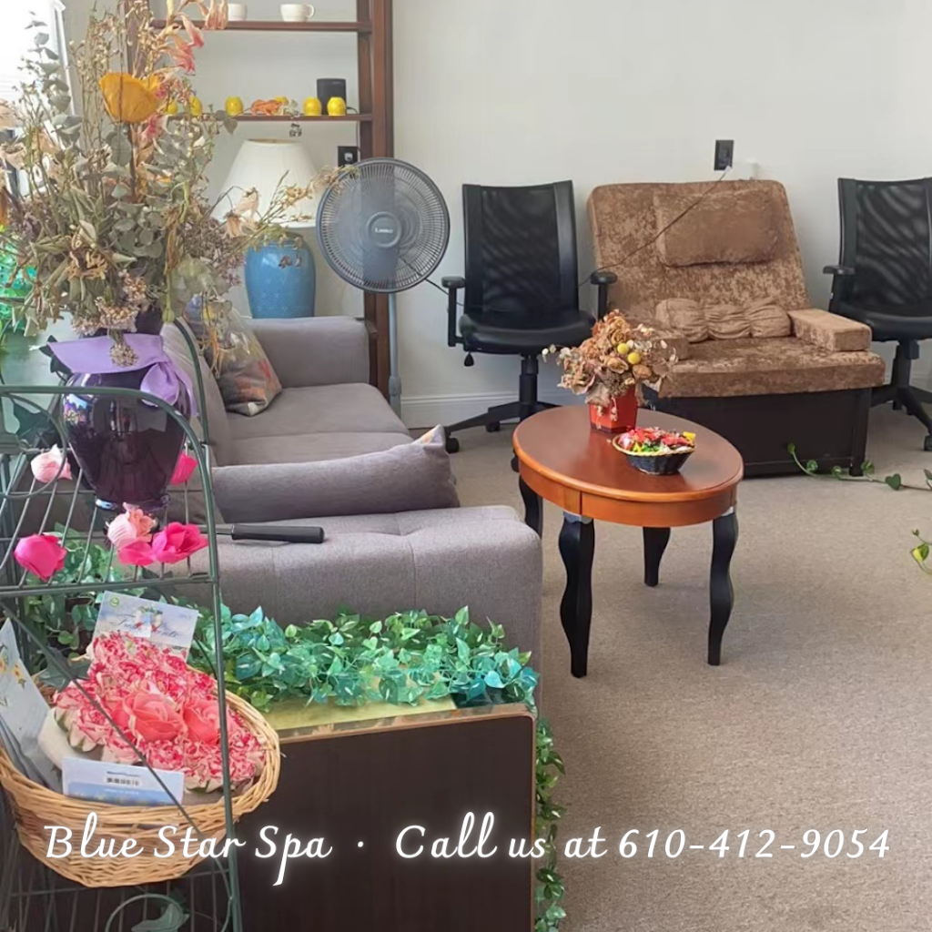 Blue Star Spa | 3563 Schuylkill Rd suite 8, Spring City, PA 19475 | Phone: (610) 412-9054